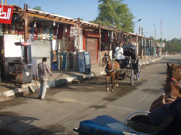Edfu, Horse and Cart